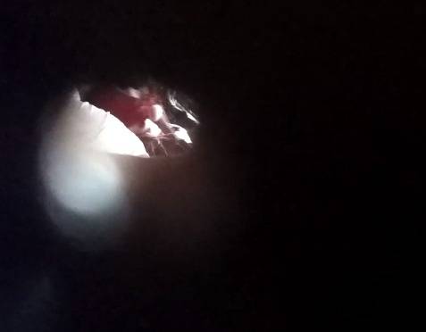 Hotel room guest peeped by room boy video 16 Hotel room guest peeped by room boy video