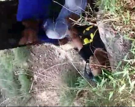 Hot Bhabhi - College Indian lovers Jungle chudai - New Leaked Chudai Sex Desi MMS