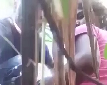 Sugarcane Field Sex of Village couple