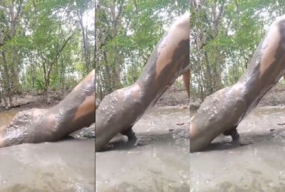 A lonely sex addict guy fucking in the mud in xxx video